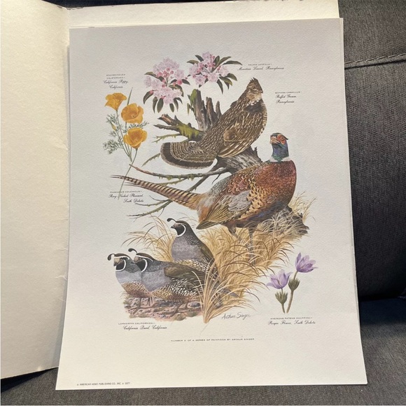 Vintage Arthur Singer Bird Prints Set Of 8 - Picture 5 of 13